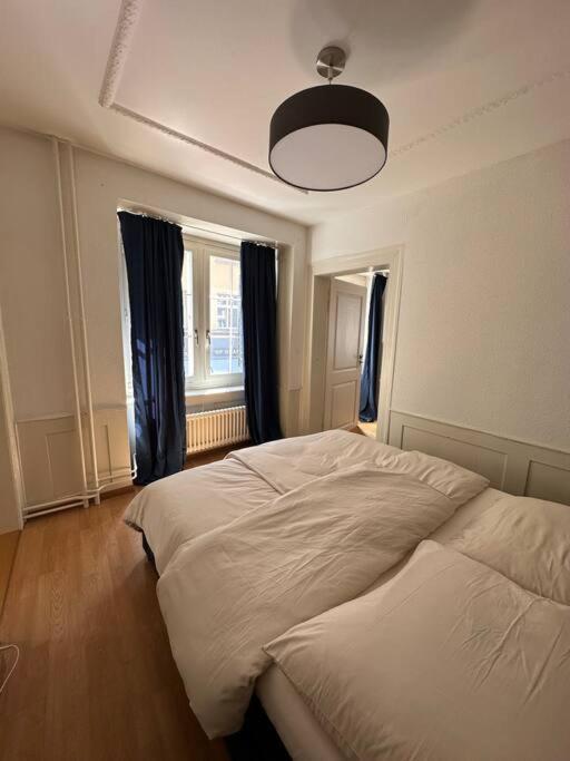 Cozy Apartment In Oldtown Zurich5 Exterior photo